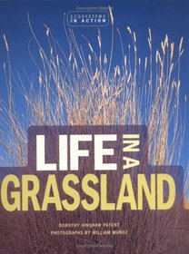 Life in a Grassland (Ecoystems in Action)