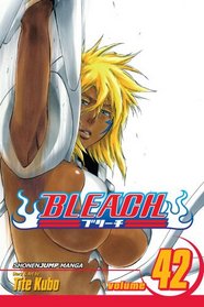 Bleach, Vol. 42 (Bleach (Graphic Novels))