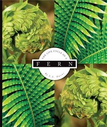 The Life Cycle of a Fern (Life Cycles)
