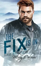The Fix Is In: Torus Intercession Book Four