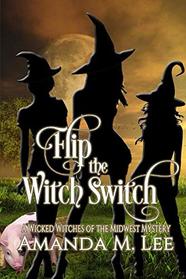 Flip the Witch Switch (Wicked Witches of the Midwest)