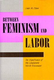 Between Feminism and Labor: The Significance of the Comparable Worth Movement