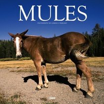 Mules 2005 Calendar