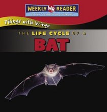The Life Cycle of a Bat (Things With Wings)
