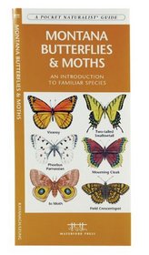 Montana Butterflies & Moths: An introduction to familiar species (State Nature Guides)