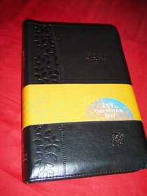 BLACK Leather Bound MODERN CHINESE - ENGLISH Bilingual Holy Bible / CNV - ESV / Cross Zipper, Golden Edges / Chinese New Version - English Standard Version / Simplified / Shen Edition