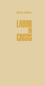 Labor in Crisis : The Steel Strike of 1919 (Critical Periods of History)
