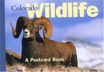 Colorado Wildlife: A Postcard Book (Postcard Books)