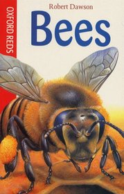 Bees (Oxford Reds)
