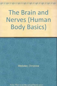 The Brain and Nerves (Human Body Basics)