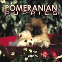 Pomeranian Puppies 2005 Mini Wall Calendar