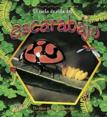 El Ciclo De Vida Del Escarabajo/ the Beetle's Life Cycle (Ciclo De Vida / the Life Cycle) (Spanish Edition)