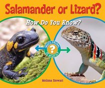 Salamander or Lizard?: How Do You Know? (Which Animal Is Which?)