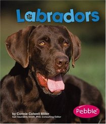 Labradors (Pebble Books)