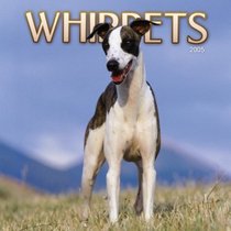 Whippets 2005 Wall Calendar