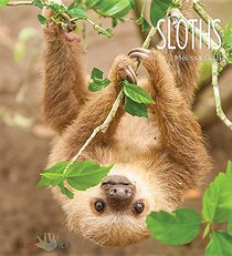 Sloths (Living Wild)