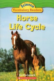 Horse Life Cycle