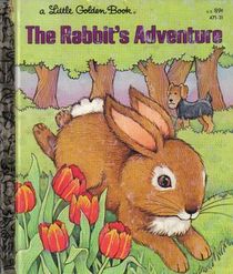 The Rabbit's Adventure