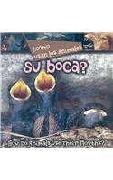 Como Usan Los Animales Sus Bocas?/ How Do Animals Use Their Mouths? (Como Usan Los Animales/ How Do Animals Use) (Spanish Edition)