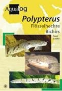 Aqualog: Polypterus--Bichirs