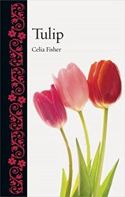 Tulip (Botanical)