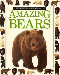 Image result for amazing bears book