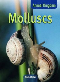 Molluscs (Animal Kingdom) (Animal Kingdom)