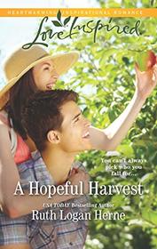 A Hopeful Harvest (Golden Grove, Bk 1) (Love Inspired, No 1257)