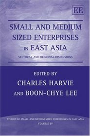 Small and Medium Sized Enterprises in East Asia: Sectoral and Regional Dimensions (Studies of Small and Medium Sized Enterprises in East Asia)