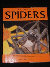 Book of Spiders
