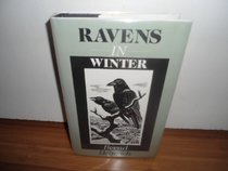 Ravens in Winter