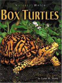 Box Turtles (Nature Watch)
