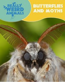 Butterflies and Moths (Really Weird Animals)