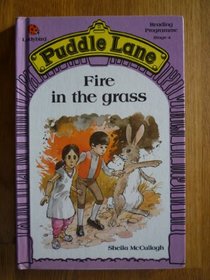 Fire in the Grass (Puddle Lane Reading Programme. Stage 4)