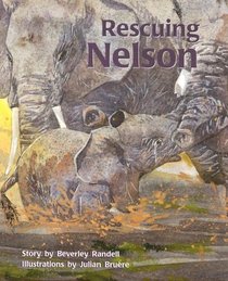 Rescuing Nelson (PM Story Books Turquoise Level)