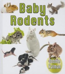 Baby Rodents (It's Fun to Learn about Baby Animals)