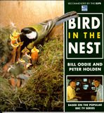 Bird in the Nest