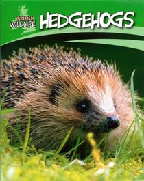 Hedgehogs (British Wildlife)