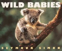 Wild Babies