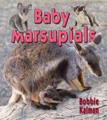 Baby Marsupials (It's Fun to Learn About Baby Animals)
