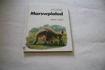 Marsurpialod (Sylfeini) (Welsh Edition)