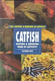 Catfish (Fish and Aquariums)
