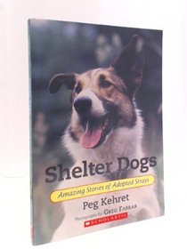 Shelter Dogs