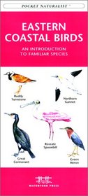 Eastern Coastal Birds (Pocket Naturalist - Waterford Press)