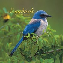 Songbirds 2008 Mini Wall Calendar (German, French, Spanish and English Edition)