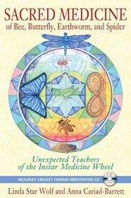 Sacred Medicine of Bee, Butterfly, Earthworm, and Spider: Unexpected Teachers of the Instar Medicine Wheel