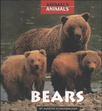 Bears (Animals, Animals)