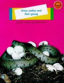 Grass Snakes and Their Young(Non-fiction Level A)(Longman Book Project)