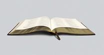 ESV Large Print Wide Margin Bible (TruTone, Olive, Celtic Cross Design)