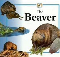 The Beaver (Life Cycles Series)